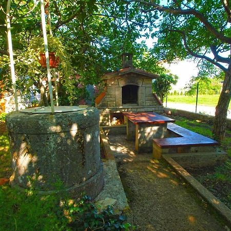 Apartment Sanja Near The Sea, Spacious And Green :) พูลา ภายนอก รูปภาพ