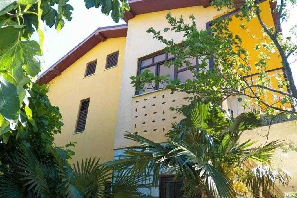 Apartment Sanja Near The Sea, Spacious And Green :) พูลา ภายนอก รูปภาพ